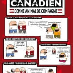 The oatmeal est l'un des blogs bd anglophones les plus hilarants. Découverte par Comixtrip, le site spécialisé en bande dessinée.