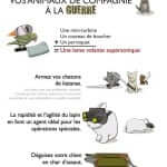 The oatmeal est l'un des blogs bd anglophones les plus hilarants. Découverte par Comixtrip, le site spécialisé en bande dessinée.