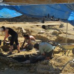 Depuis 2010, le dessinateur de BD Mazan suit les fouilles paléontologiques d'Angeac où se trouve le plus gros gisement de dinosaures d'Europe. Le site spécialisé en bande dessinée Comixtrip lui a consacré un documentaire video.