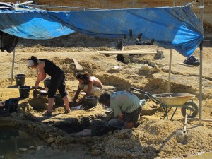 Depuis 2010, le dessinateur de BD Mazan suit les fouilles paléontologiques d'Angeac où se trouve le plus gros gisement de dinosaures d'Europe. Le site spécialisé en bande dessinée Comixtrip lui a consacré un documentaire video.