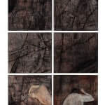 Le formidable voyage au Mexique d'Antonin Artaud raconté dans L'esprit rouge de Maximilien Le Roy et Zéphir chez Futuropolis décrypté par Comixtrip le site BD de référence