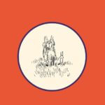 Gros ours et Petit lapin est un petite pépite graphique et narrative de Nylsa aux éditions Misma, décrypté par Comixtrip le site BD de référence