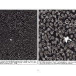 Otto, l'homme réécrit de Marc-Antoine Mathieu (Delcourt) décrypté par Comixtrip le site BD de référence