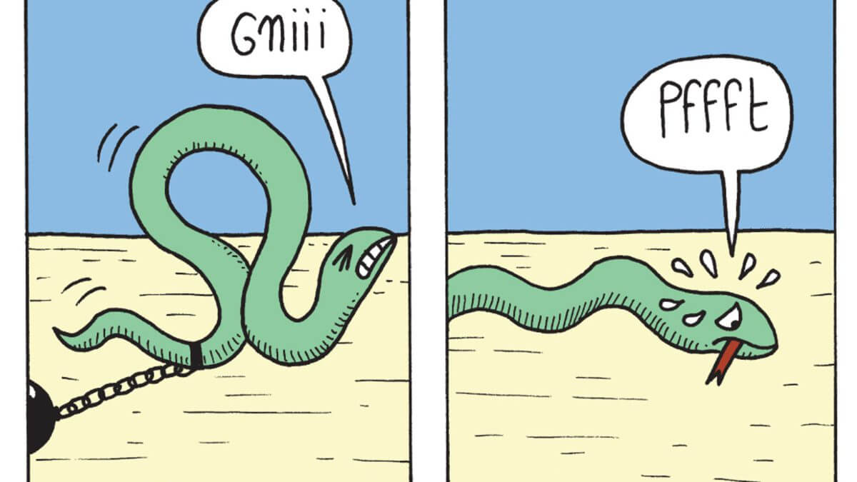 Tulipe de Sophie Guerrive (éditions 2024) décrypté par Comixtrip le site BD de référence