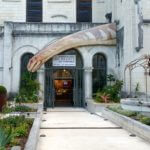 Dinosaures : Les géants du vignoble (Musée d'Angoulême) photos D. Canteau/Comixtrip