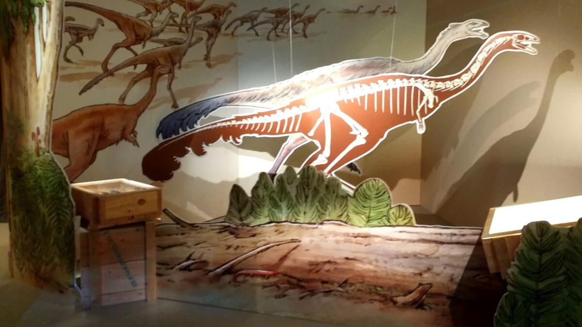 Dinosaures : Les géants du vignoble (Musée d'Angoulême) photos D. Canteau/Comixtrip
