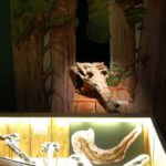 Dinosaures : Les géants du vignoble (Musée d'Angoulême) photos D. Canteau/Comixtrip