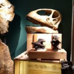 Dinosaures : Les géants du vignoble (Musée d'Angoulême) photos D. Canteau/Comixtrip