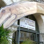 Dinosaures : Les géants du vignoble (Musée d'Angoulême) photos D. Canteau/Comixtrip