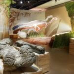 Dinosaures : Les géants du vignoble (Musée d'Angoulême) photos D. Canteau/Comixtrip