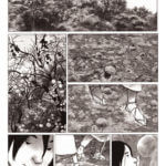 Geisha ou le jeu du shamisen 1 de Christian Durieux et Christian Perrissin (Futuropolis) décrypté par Comxitrip le site BD de référence