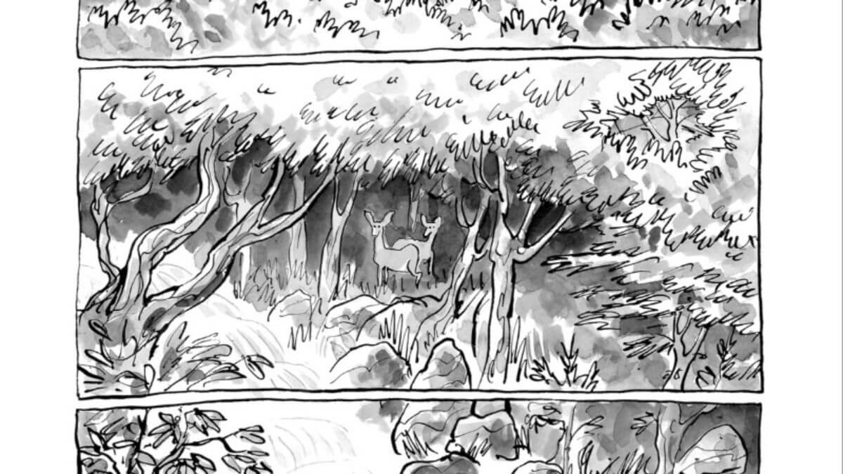 Mikaël ou le mythe de l'homme des bois de Fabien Grolleau (6 pieds sous terre) décrypté par Comixtrip le site BD de référence