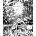 Mikaël ou le mythe de l'homme des bois de Fabien Grolleau (6 pieds sous terre) décrypté par Comixtrip le site BD de référence