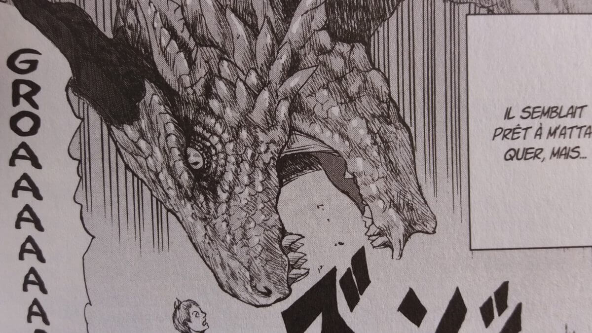 Monster X Monster de Nikiichi Tobita aux éditions Ki-oon