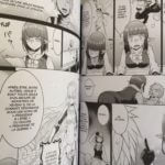 DanMachi, Bell et sa Belle, édité par Ototo et décrypté par Comixtrip, le site BD de référence