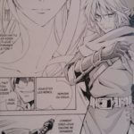 The Legend of Zelda Hyrule Historia et Art & Artifacts chez Soleil Manga