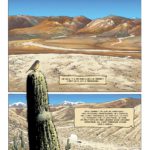 Tango aux éditions Le Lombard décrypté sur Comixtrip, le site BD de référence