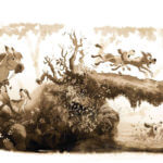 Sacha et Tomcrouz - Anaïs Halard et Bastien Quignon (Soleil) - recherches