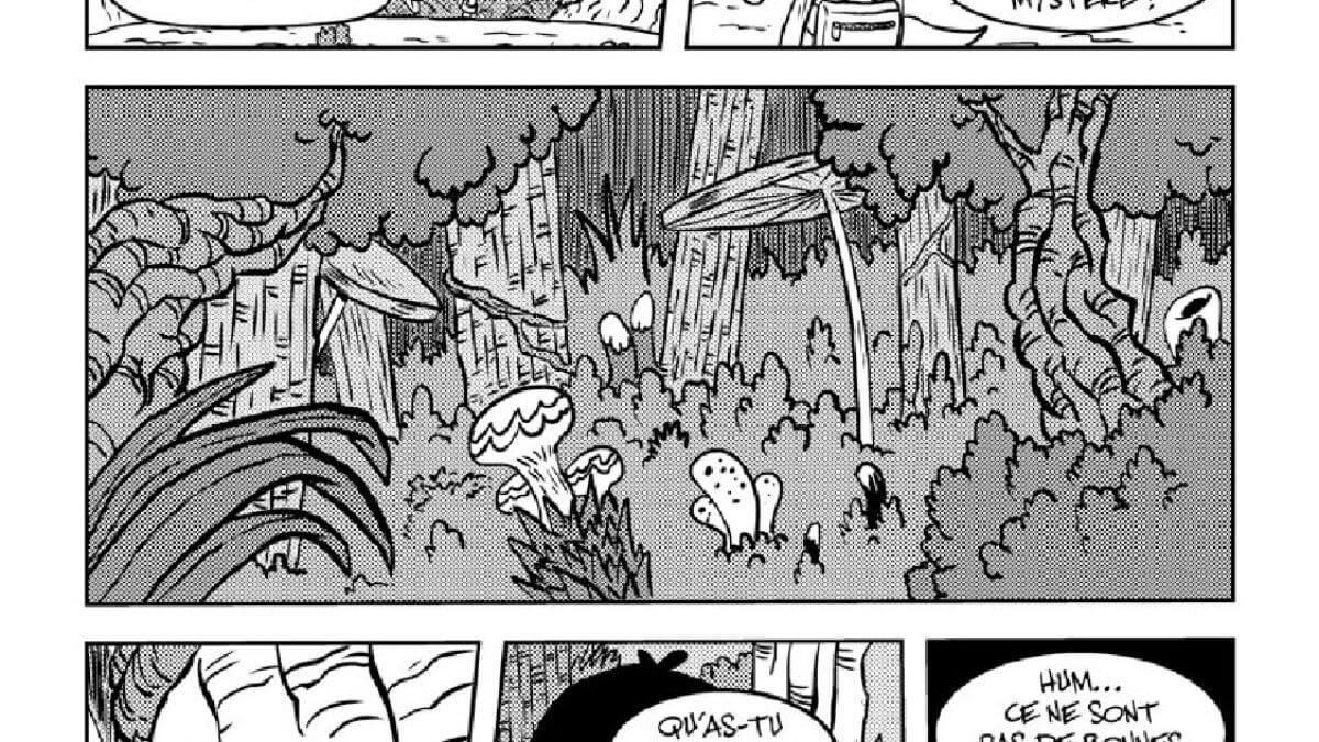 Feya 1 de Marc Lataste (Vide Cocagne)