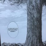 Sword Art Online : Porject Alicization aux éditions Ototo décrypté sur Comixtrip, le site BD de référence