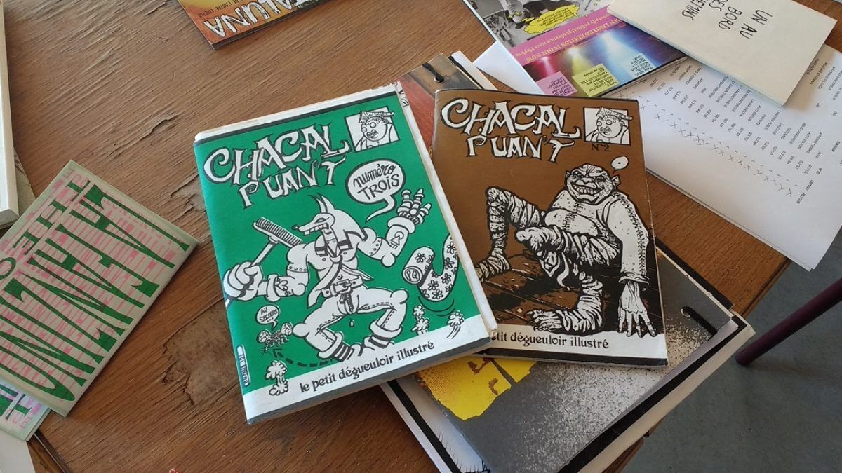 La fanzinothèque (Photo Comixtrip - Damien Canteau)