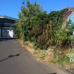 La fanzinothèque (Photo Comixtrip - Damien Canteau)