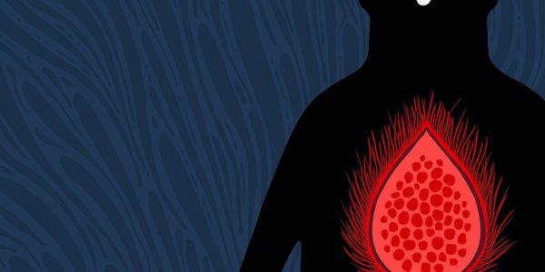 Roucou de Alberto Montt (çà et là)