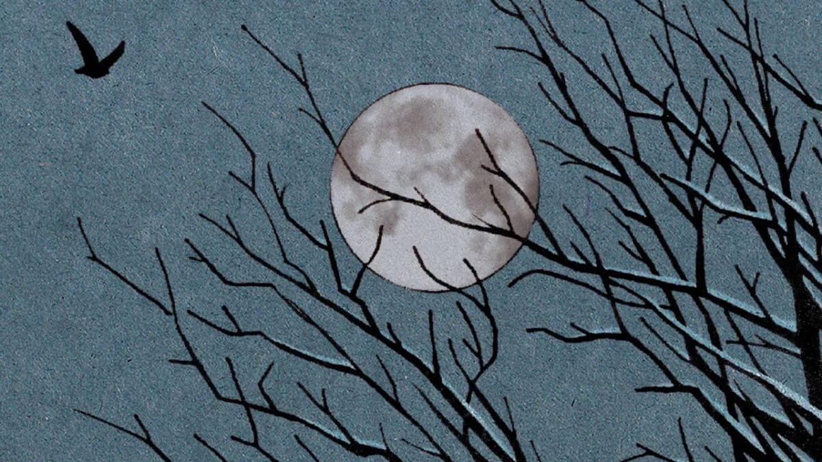 Animabilis de Thierry Murat (Futuropolis)