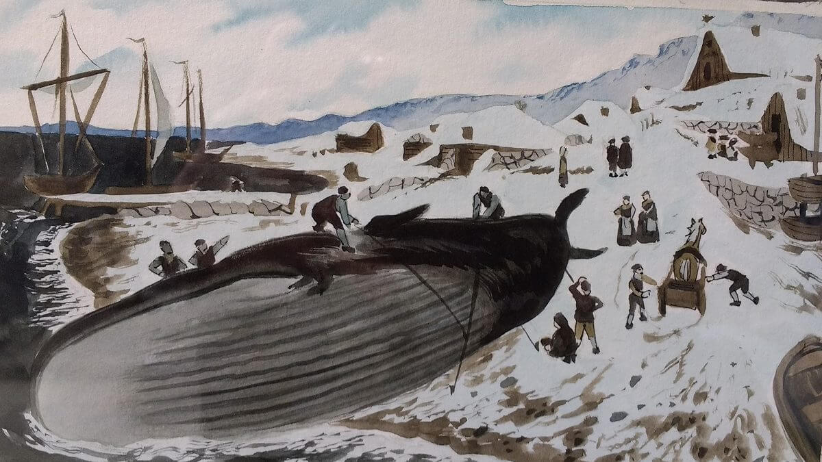 'exposition Jérémie Moreau (Angoulême - FIBD/Photo Comixtrip)