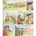 Voltaire le culte de l'ironie de Jean Michel Beuriot et Philippe Richelle (Casterman)