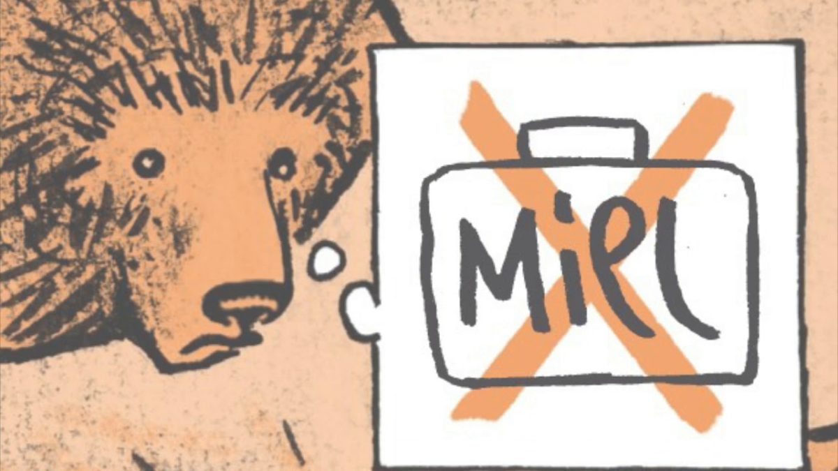 L'ours est un écrivain comme les autres de Alain Kokor d'après William Koztwinkle (Futuropolis)