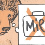 L'ours est un écrivain comme les autres de Alain Kokor d'après William Koztwinkle (Futuropolis)