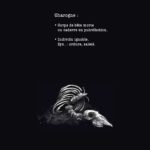 RIP #2 de Gaet's et Julien Monier (Petit à Petit)