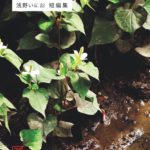 Inio Asano Anthology (Kana)