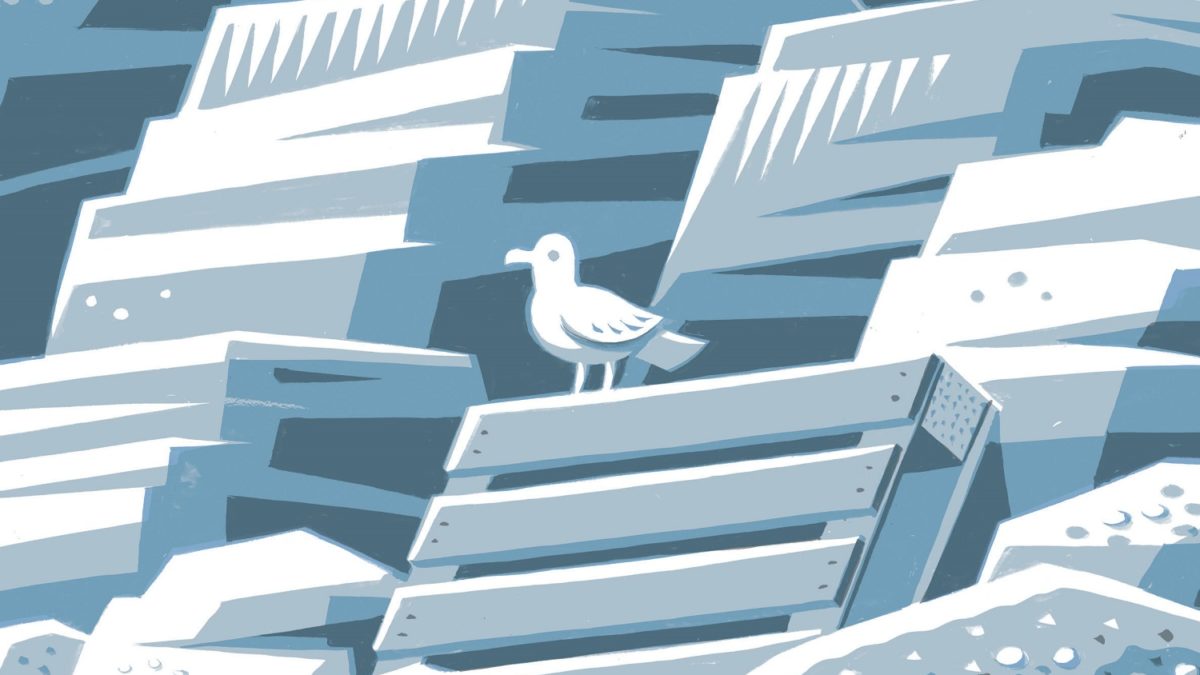 L'été à Kingdom Fields de Jon McNaught (Dargaud)