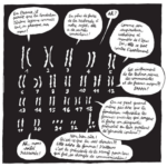 Le taureau par les cornes de Morvandiau (L'Association)