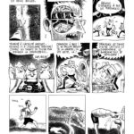 Le marathon de New York à la petite semelle de Sébastien Samson (La boite à bulles)