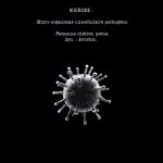 RIP 4 de Gaet's et Julien Monier (Petit à Petit)