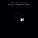 RIP 4 de Gaet's et Julien Monier (Petit à Petit)