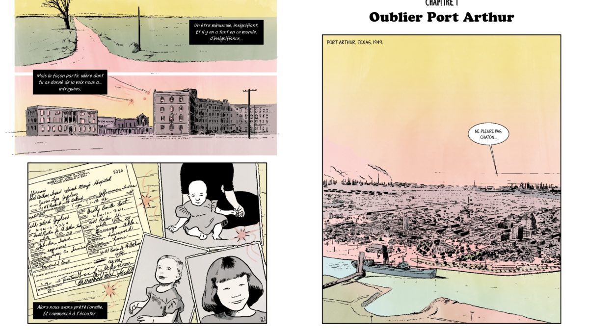 Love me please Une histoire de Janis Joplin de Nicolas Finet, Christopher et Degreff (Marabulles)