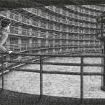 L'accident de chasse de David L. Carlson et Landis Blair (Sonatine)