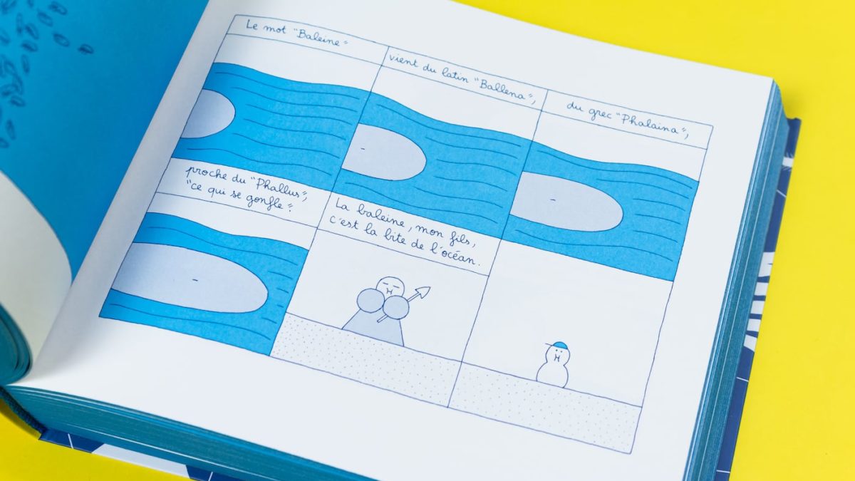 Un beau voyage de Delphine Panique (Misma)