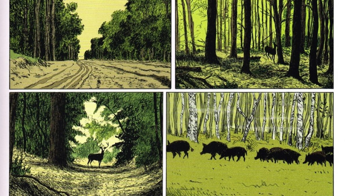 Le peintre hors-la-loi de Frantz Duchazeau (Casterman)