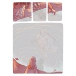 Prix Raymond Leblanc - La Déesse @dinefocc Amandine Foccroulle