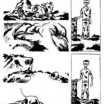 Prix Raymond Leblanc - Brave garçon @poissongrognon