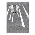 Prix Raymond Leblanc - L'ombre des pins @ceciledupuis_illustration