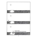 Prix Raymond Leblanc - L'ombre des pins @ceciledupuis_illustration