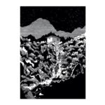 Prix Raymond Leblanc - L'ombre des pins @ceciledupuis_illustration