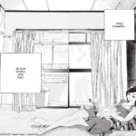 Elle et son chat - Makoto Shinkai - Pika Edition