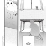 Elle et son chat - Makoto Shinkai - Pika Edition